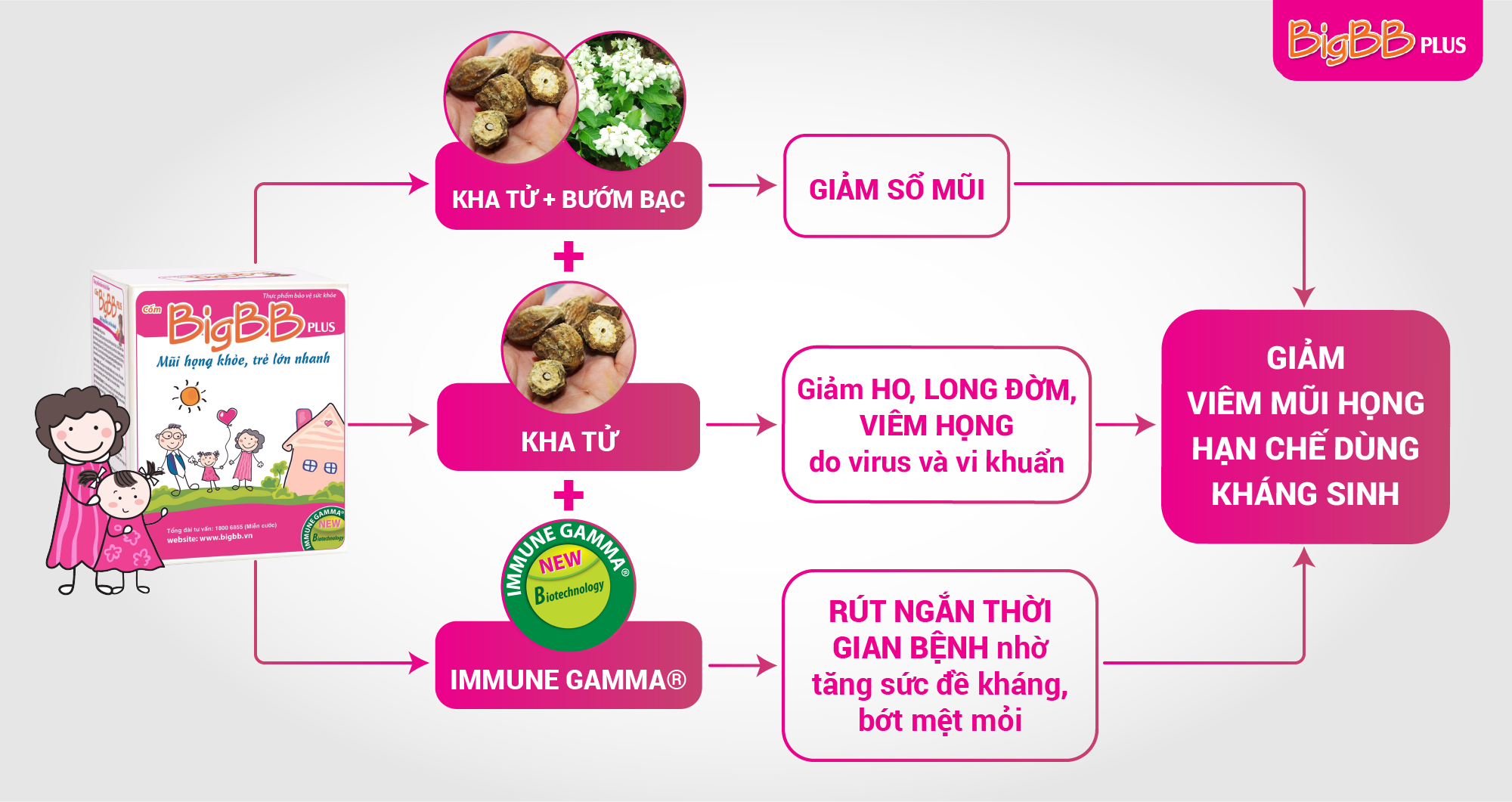 Quả Kha tử được PGS.TS Nguyễn Thị Ngọc Dinh đánh giá là “đầu bảng” trị viêm mũi họng cho trẻ (Nguồn: Internet)